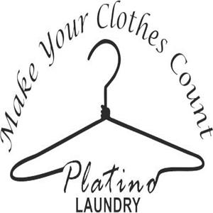 Platino Laundry Make Your Clothes Count Device mark 3119271 Trademark