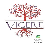 Vigere (label) Device mark 3123298 Trademark