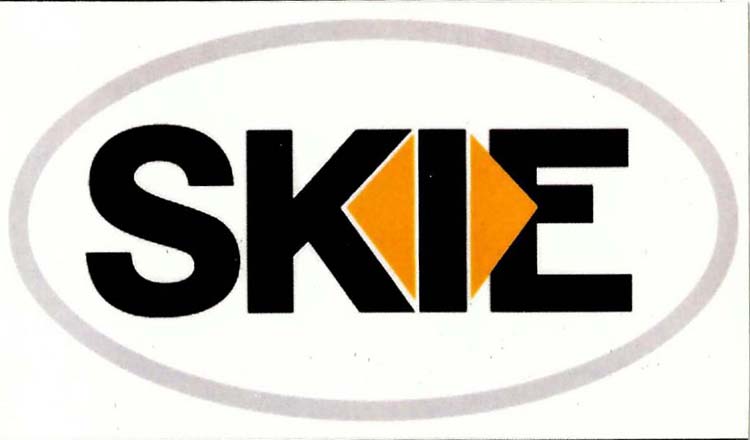 Skie Device mark 3129790 Trademark
