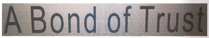 A Bond Of Trust Device mark 3161528 Trademark