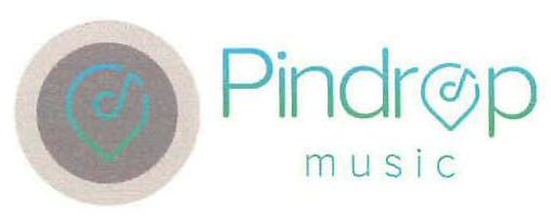 Pindrop Music Device mark 3168791 Trademark
