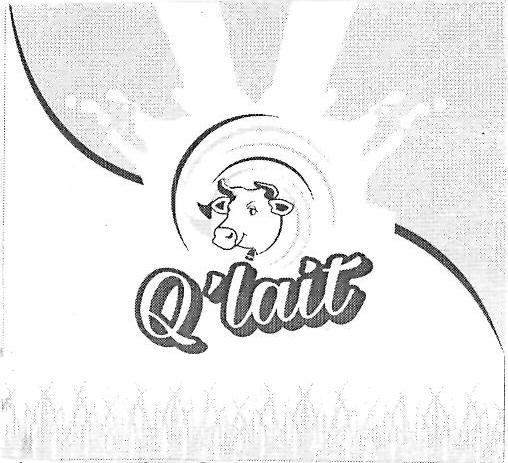 Qlait Device mark 3183776 Trademark