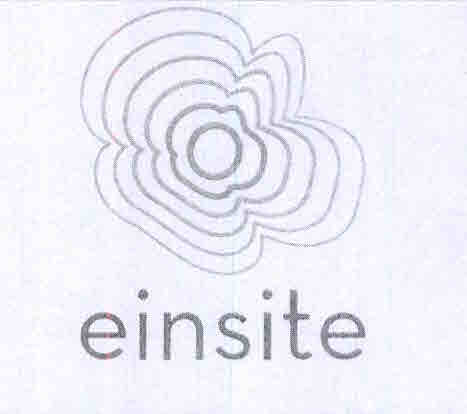Einsite Device mark 3191572 Trademark