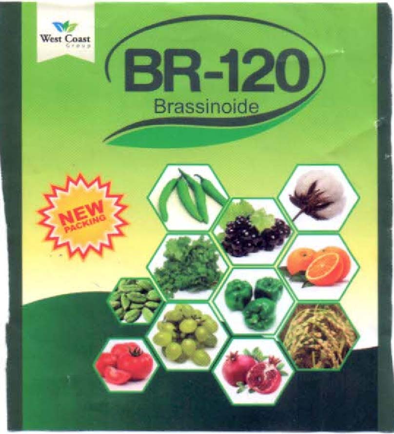 Br-120 Device mark 3207507 Trademark