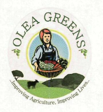 Olea Greens Device mark 3210295 Trademark