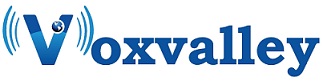 Voxvalley Device mark 3230571 Trademark