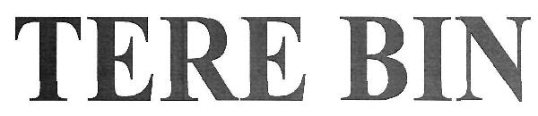 Tere Bin Device mark 3272429 Trademark