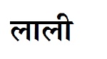 Laali Device mark 3276071 Trademark