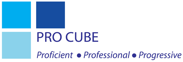 Procube Proficient Professional Progressive Device mark 3295954 Trademark