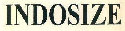 Indosize Device mark 3302494 Trademark
