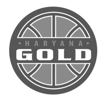 Haryana Gold With Logo Device mark 3314376 Trademark
