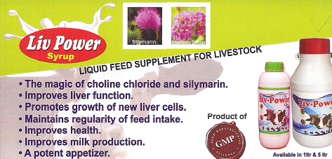 Liv Power Syrup Device mark 3402373 Trademark