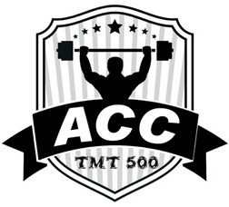 Acc Tmt 500 Device mark 3409808 Trademark