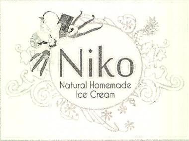 Niko Natural Homemade Ice Cream Device mark 2566017 Trademark