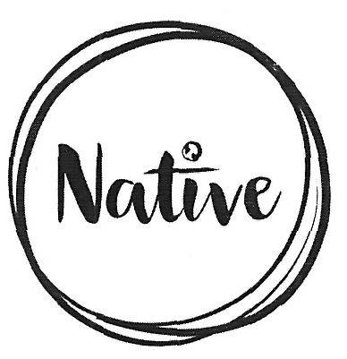Native Device mark 3418893 Trademark