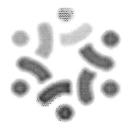 Device Device mark 3429632 Trademark