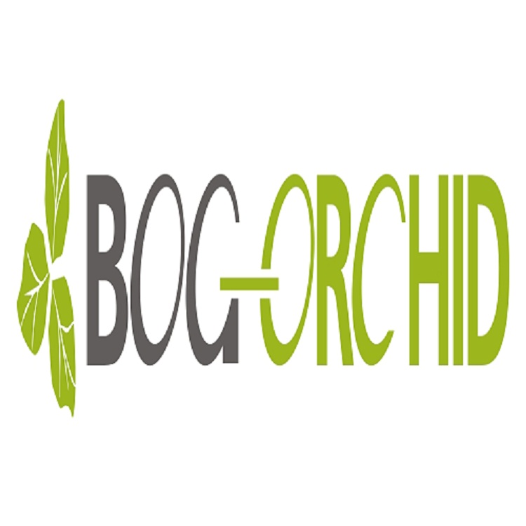 Bogorchid Device mark 3433205 Trademark
