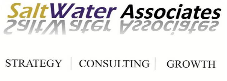 Saltwater Associates Strategy Consulting Growth Device mark 3442944 Trademark