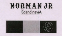 Norman Jr With Word Scandinavia And Device Of Rectangle Device mark 3554837 Trademark