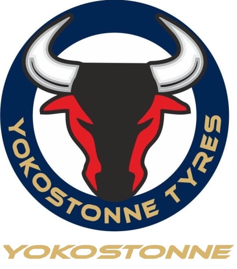 Yokostonne Device mark 3653131 Trademark