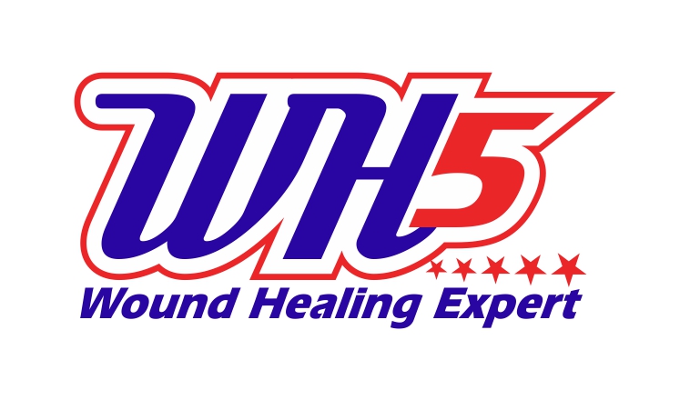 Wh5 Device mark 3719841 Trademark