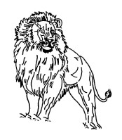 Device Device mark 4742021 Trademark