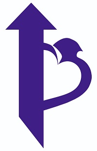 Device Device mark 4900620 Trademark