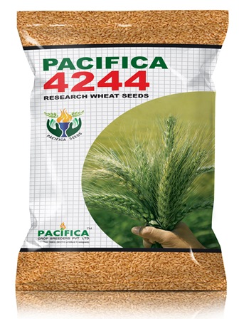 Pacifica 4244 Device mark 4940034 Trademark