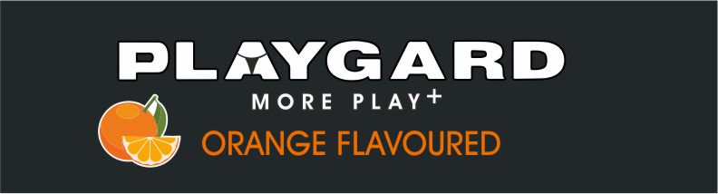 Playgard More Play+ Device mark 4942552 Trademark