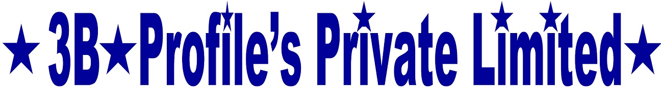 3b Profile's Private Limited Device mark 5654702 Trademark