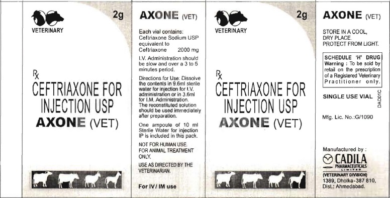 Axone Device mark 1180283 Trademark