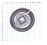 Strawberry In A Circle With Chip Device Checked Pattern-b/w Device mark 1325134 Trademark