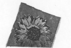 Device Mark Of Flower (label) Device mark 1353059 Trademark