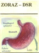 Zoraz-dsr Device mark 1563867 Trademark