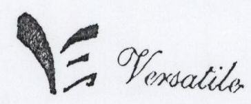 Versatile With Device Device mark 1599828 Trademark