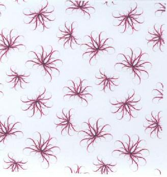 Device Mark Device mark 1746360 Trademark