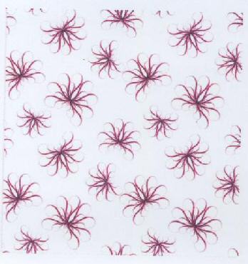 Device Mark Device mark 1746416 Trademark