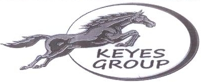 Keyes Group Device mark 1943099 Trademark