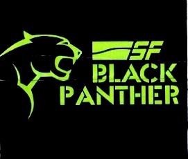 Black Panther Device mark 1949326 Trademark
