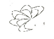 Logo Device mark 1960144 Trademark