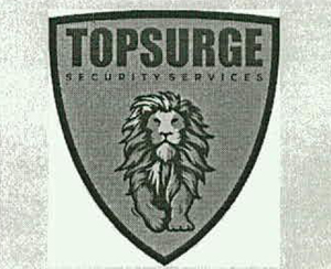 Topsurge Security Services Device mark 5320289 Trademark