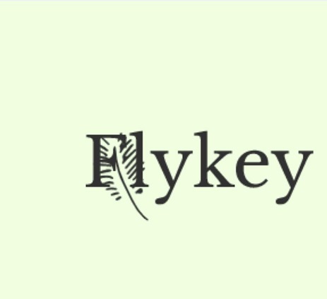 Flykey Device mark 5333375 Trademark