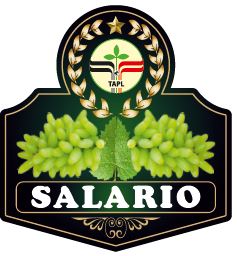 Salario Device mark 5339322 Trademark