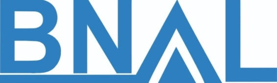 Bnal (device) Device mark 5345206 Trademark