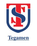 Tegamen Device mark 5358156 Trademark