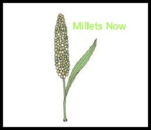 Millets Now Device mark 5365689 Trademark