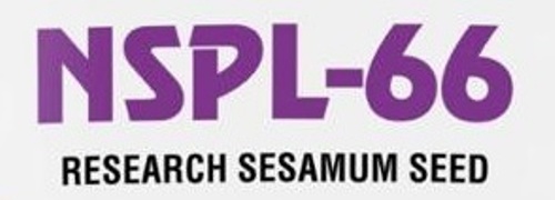 Nspl-66 Device mark 5368325 Trademark