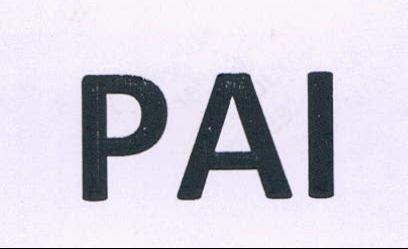 Pai Device mark 2103643 Trademark