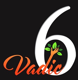 Vadic6 Device mark 5378162 Trademark