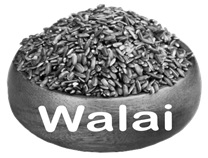 Walai Device mark 5385527 Trademark